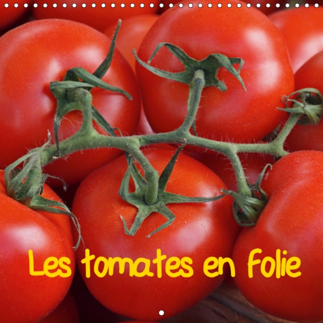 Les tomates en folie 2019 : Le meilleur des tomates reuni dans un calendrier, Calendar Book