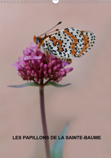Les papillons de la Sainte-Baume 2019 : Les magnifiques papillons de la Sainte-Baume, Calendar Book