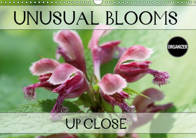 Unusual Blooms Up Close 2019 : A potpourri of peculiar blossoms, Calendar Book
