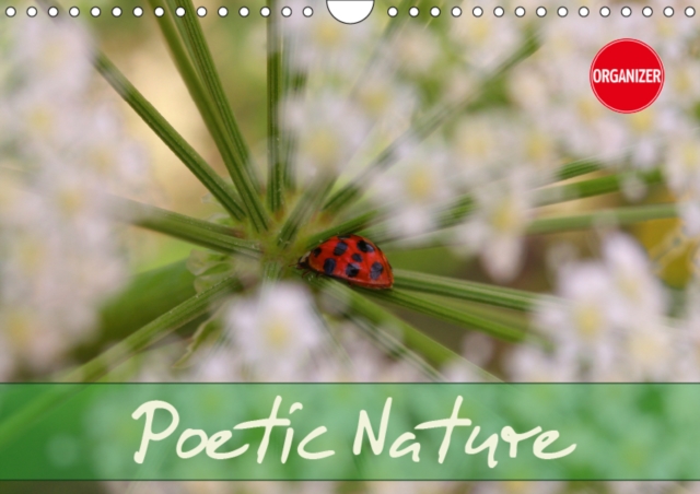 Poetic Nature 2019 : Atmospheric and harmonious nature shots, Calendar Book