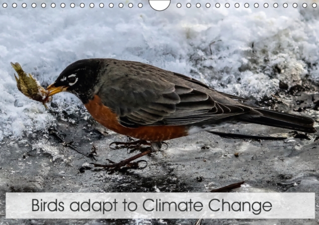 Birds adapt to Climate Change 2019 : Birds adapt to new Climatic Condition, Calendar Book