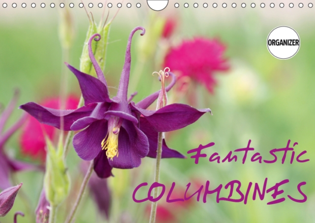 Fantastic Columbines 2019 : The variety of Granny`s Bonnet or Columbine is remarkable, Calendar Book
