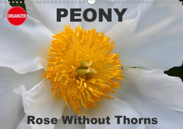 Peony Rose Without Thorns 2019 : Peony, a flower of symbolic importance, Calendar Book