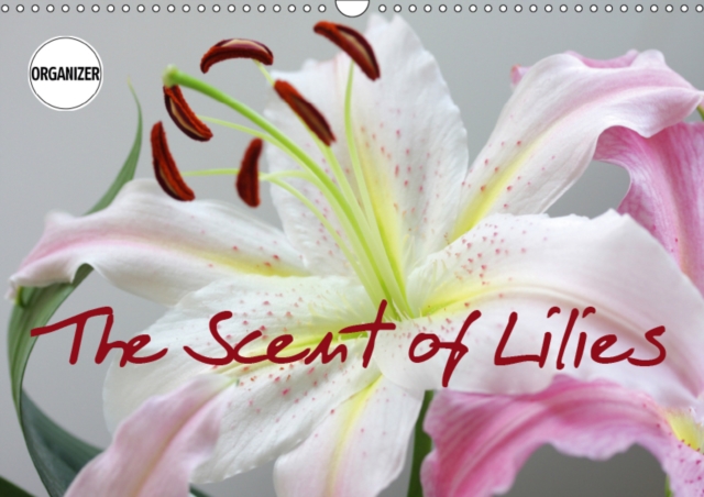 The Scent of Lilies 2019 : Portraits and still lifes of lilies, Calendar Book