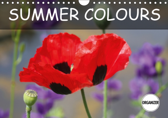 Summer Colours 2019 : Portraits of flowers in all colours of the rainbow, Calendar Book