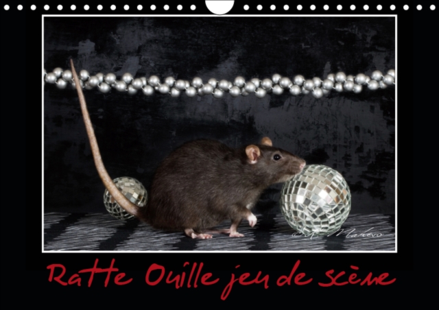 Ratte Ouille jeu de scene 2019 : Petite ratte en spectacle., Calendar Book