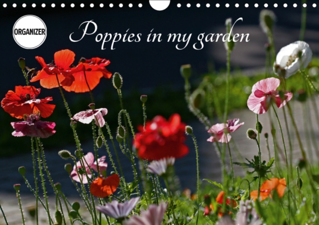 Poppies in my garden 2019 : Share the pleasure in poppies with the photographer, Calendar Book
