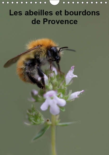 Les abeilles et bourdons de Provence 2019 : Nos amis les abeilles et les bourdons solitaires et sauvages, Calendar Book