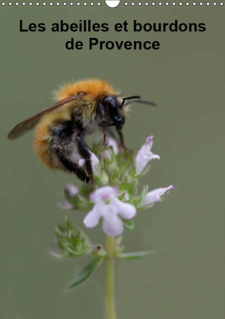 Les abeilles et bourdons de Provence 2019 : Nos amis les abeilles et les bourdons solitaires et sauvages, Calendar Book