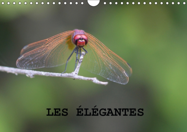 Les elegantes 2019 : Les libellules gracieuses et legeres., Calendar Book