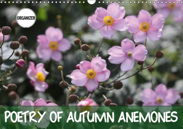 Poetry of Autumn Anemones 2019 : A potpourri of the delicate late summer flower, Calendar Book