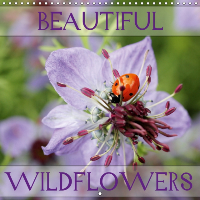 Beautiful Wildflowers 2019 : Discover the world of fascinating wildflowers, Calendar Book