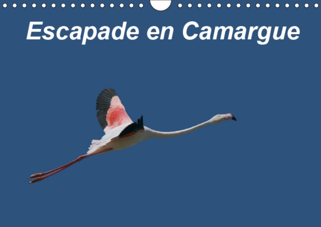 Escapade en Camargue 2019 : Observons la faune camarguaise dans toute sa splendeur, Calendar Book