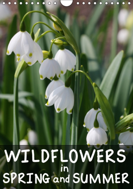 Wildflowers in Spring and Summer 2019 : Impressions from the huge variety of wildflowers, Calendar Book