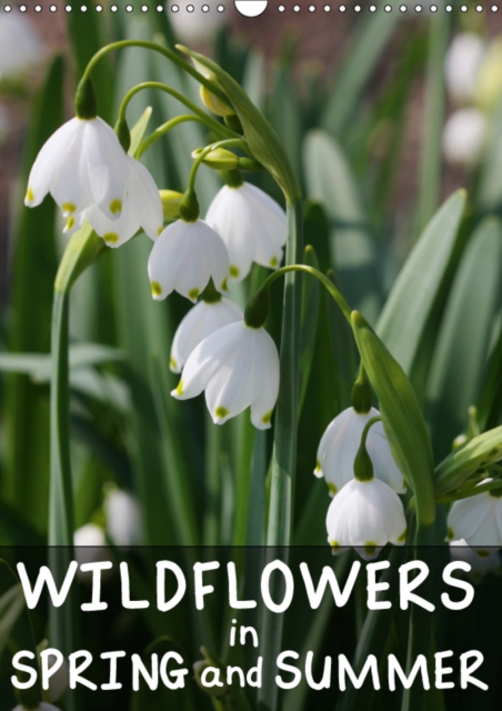 Wildflowers in Spring and Summer 2019 : Impressions from the huge variety of wildflowers, Calendar Book