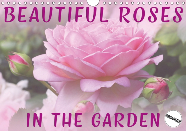 Beautiful Roses in the Garden 2019 : Discover beautiful roses in a natural garden environment, Calendar Book