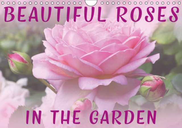 Beautiful Roses in the Garden 2019 : Discover beautiful roses in a natural garden environment, Calendar Book