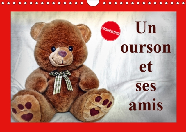 Un ourson et ses amis 2019 : Un merveilleux cadeau pour les petits et les grands qui aiment les oursons., Calendar Book