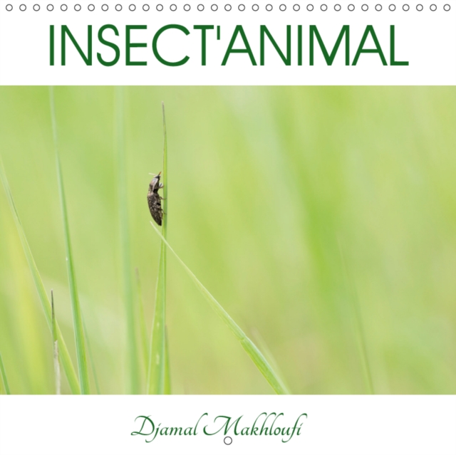 INSECT'ANIMAL 2019 : Decouvrez l'intimite des insectes, les yeux dans les yeux !, Calendar Book
