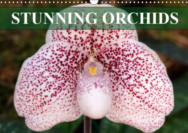 Stunning Orchids 2019 : A small selection from the immense variety of orchids, Calendar Book
