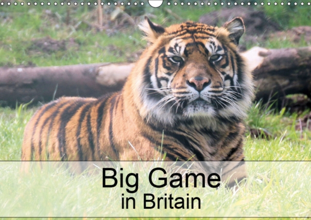 Big Game in Britain 2019 : Images of beautiful animals in Britain, Calendar Book