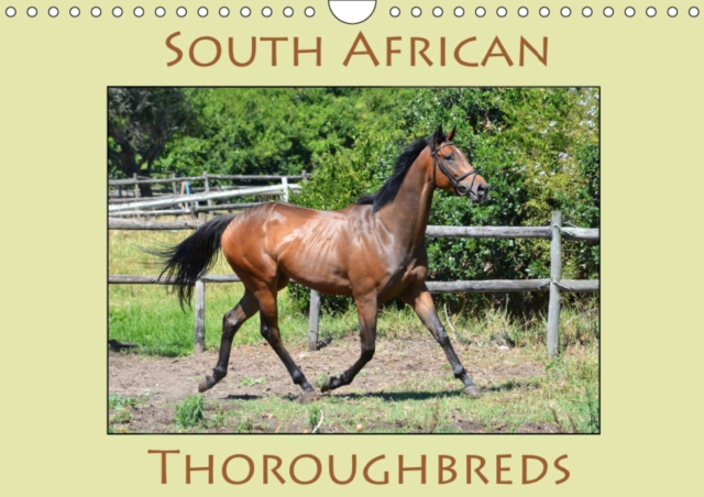 South African Thoroughbreds 2019 : Photographs of South African Thoroughbred horses., Calendar Book