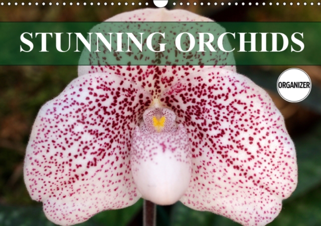 Stunning Orchids 2019 : A small selection from the immense variety of orchids, Calendar Book