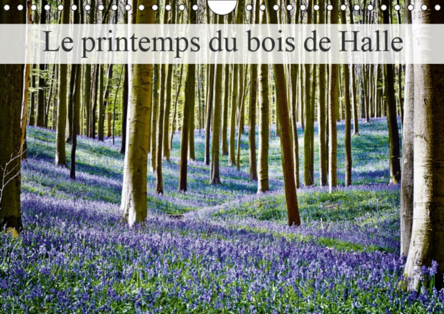 Le printemps du bois de Halle 2019 : Hallerbos, la foret feerique, Calendar Book