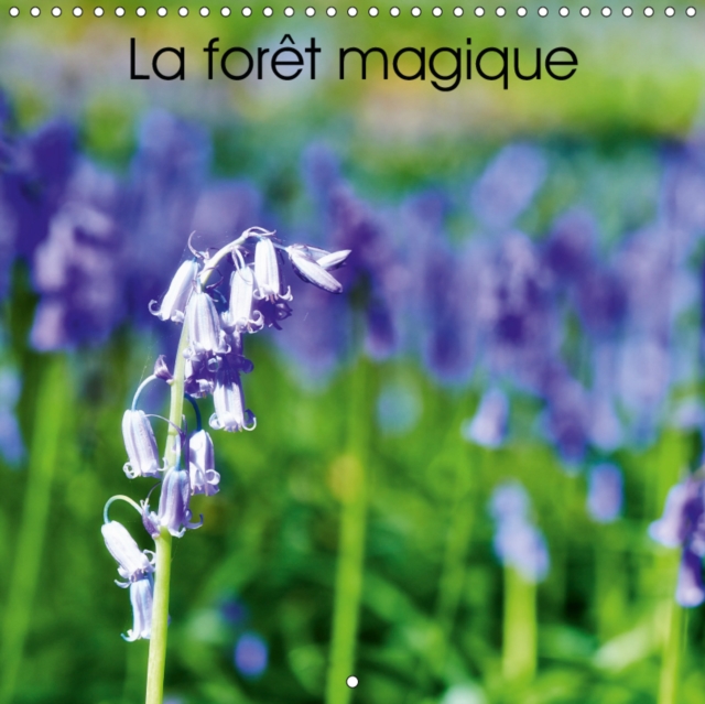 La foret magique 2019 : Hallerbos, la foret feerique, Calendar Book
