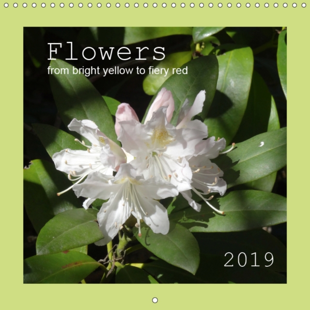 Flowers from bright yellow to fiery red 2019 : Flowers growing on trees, shrubs and co., Calendar Book
