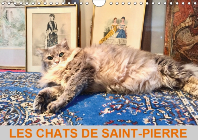 LES CHATS DE SAINT-PIERRE 2019 : Les chats de gouttiere en mode survie, Calendar Book