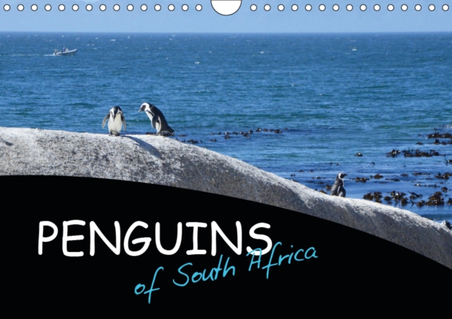 Penguins of South Africa 2019 : African Penguins in their natural habitat, Calendar Book