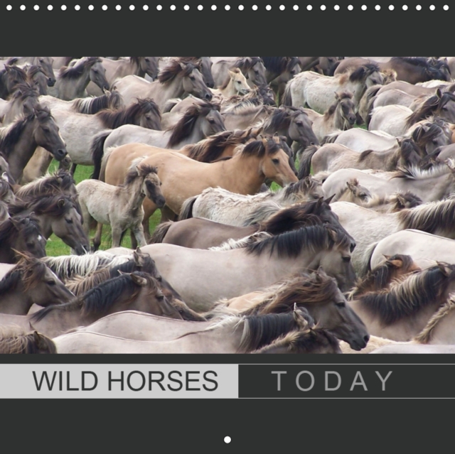 Wild horses today 2019 : With beautiful wild horses through the year, Calendar Book