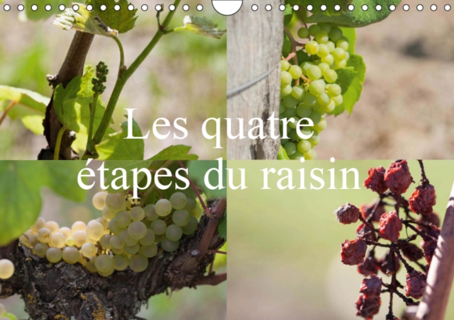 Les quatre etapes du raisin 2019 : Le raisin, le nectar des Dieux, Calendar Book
