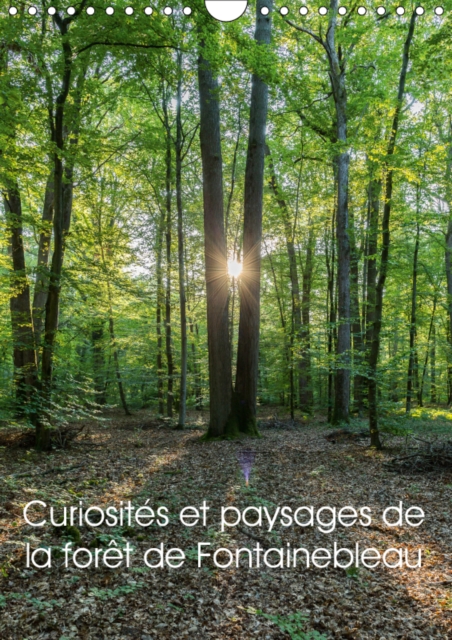 Curiosites et paysages de la foret de Fontainebleau 2019 : Partez a la decouverte de la foret de Fontainebleau, Calendar Book