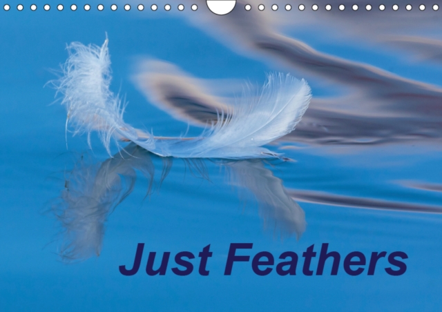 Just Feathers 2019 : Magically coloured feathers from around the world, Calendar Book