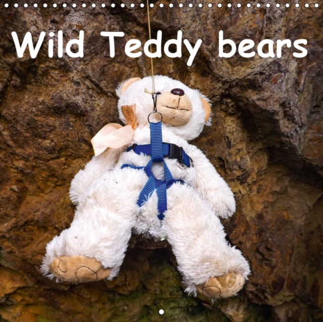 Wild Teddy bears 2019 : Some fun with the Teddy bears. Monthly calender, Calendar Book