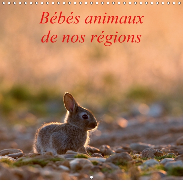 Bebes animaux de nos regions 2019 : L'insouciance des bebes animaux photographies sur le vif., Calendar Book