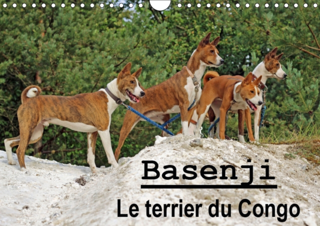 Basenji Le terrier du Congo 2019 : Le Basenji est une race de chien originaire de Centrafrique, Calendar Book