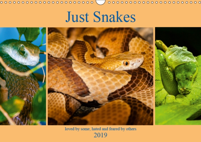 Just Snakes 2019 : Loved by some, hated and feared by others, Calendar Book