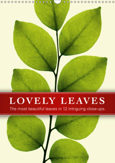 Lovely Leaves 2019 : The most beautiful leaves in twelve intriguing close-ups., Calendar Book