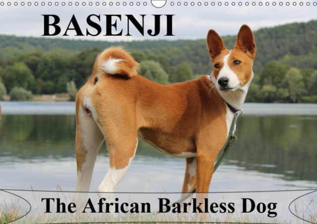 Basenji the African Barkless Dog 2019 : The Basenji is a dog breed coming from central Africa, Calendar Book