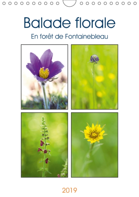 Balade florale en foret de Fontainebleau 2019 : Decouvrez une jolie fleur sauvage de la foret de Fontainebleau chaque mois., Calendar Book