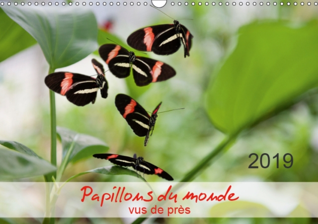 Papillons du monde, vus de pres 2019 : Portraits de douze papillons aux couleurs magnifiques, originaires d'Afrique, d'Asie et d'Amerique du Sud - macrophotographie., Calendar Book