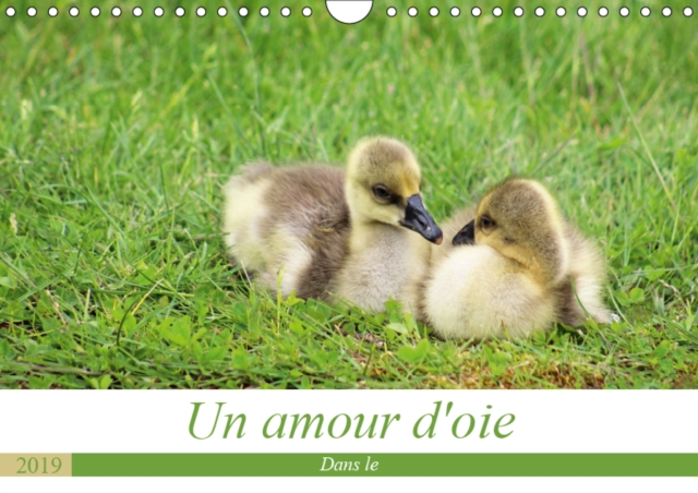 Un amour d'oie 2019 : La vie de mes oies de leurs naissance a aujourd'hui, Calendar Book