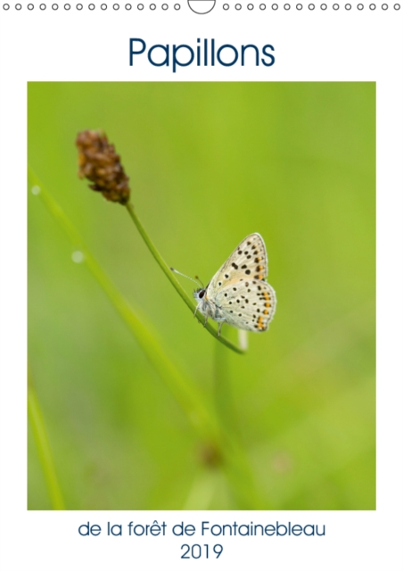Papillons de la foret de Fontainebleau 2019 : Decouvrez 12 beaux papillons diurnes de la foret de Fontainebleau, Calendar Book