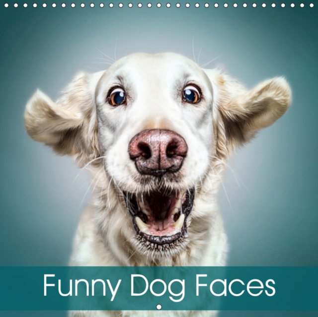 Funny Dog Faces 2019 : Gorgeous dog faces with a touch of humour, Calendar Book