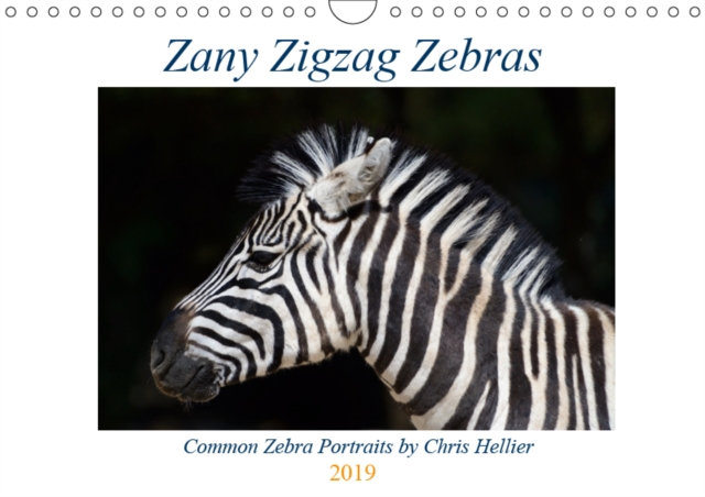 Zany Zigzag Zebras 2019 : Award-winning photographer, Chris Hellier, shoots a dozen images of one of the world's most popular wild animals., Calendar Book