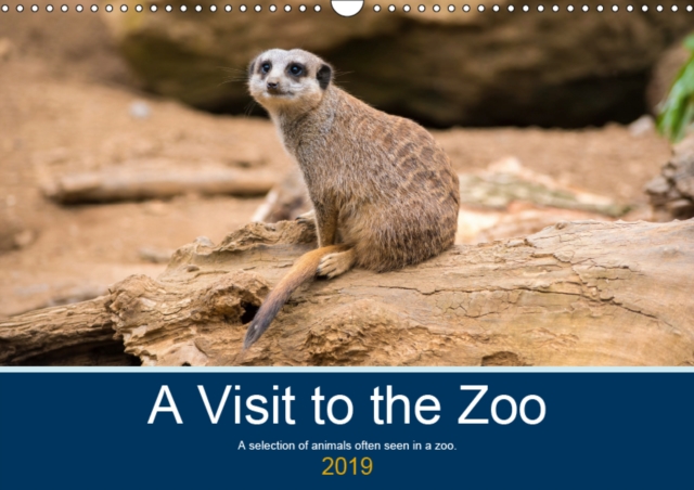 A Visit to the Zoo 2019 : A selection of animals often seen in a zoo., Calendar Book