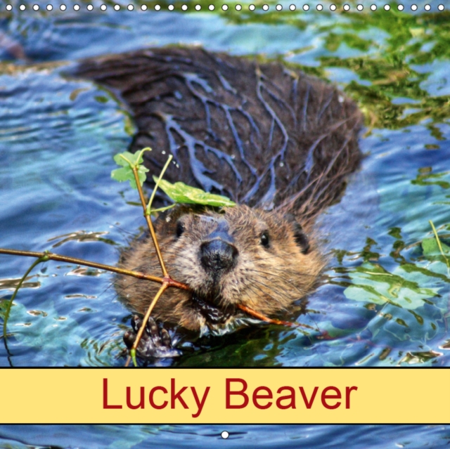 Lucky Beaver 2019 : Rodents and Wild Animals, Calendar Book